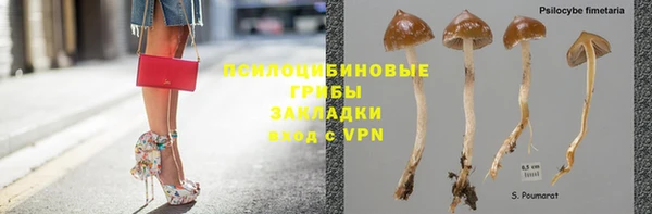 мяу мяу мука Белоозёрский