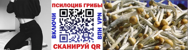 цены наркотик mega зеркало Псилоцибиновые грибы ЛСД Котельники